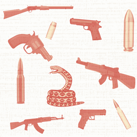 Modern Toile Don't Tread On Me Coral Gift Wrap