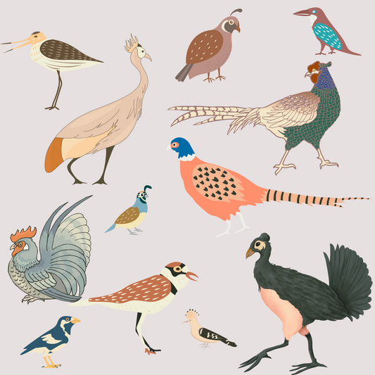 Modern Toile Birds Vintage Gift Wrap