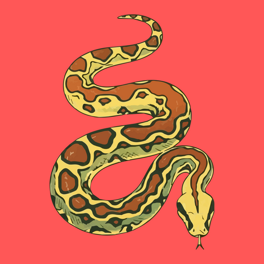 Snake Charmer Valentine's Day Gift Wrap